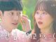 Download Drama Korea You Are My Spring Subtitle Indonesia