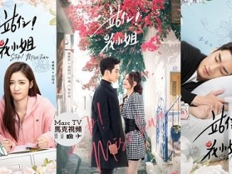 Drama China Stop Miss Hua Subtitle Indonesia